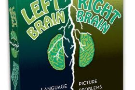 MindTrap Left Brain Right Brain challenges players with puzzles that engage both analytical and creative thinking simultaneously. An engaging and entertaining brain-teaser game for curious minds of all ages.